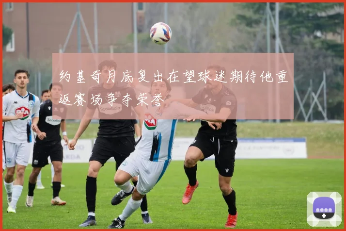 约基奇月底复出在望球迷期待他重返赛场争夺荣誉