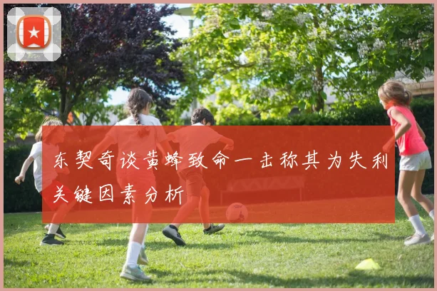 东契奇谈黄蜂致命一击称其为失利关键因素分析